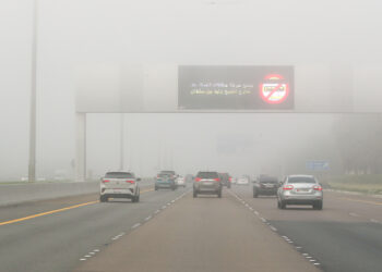 UAE Weather Alert: Dense Fog Reduces Visibility Across Abu Dhabi