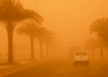Blazing Heat, Dust Storms, and Rainfall in UAE