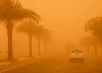 Blazing Heat, Dust Storms, and Rainfall in UAE