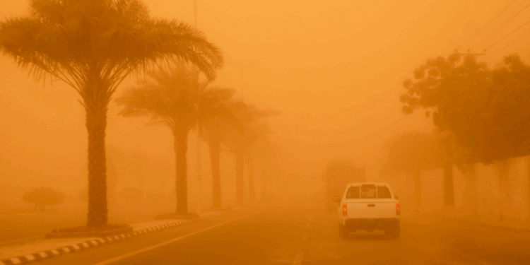 Blazing Heat, Dust Storms, and Rainfall in UAE