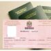 Dubai Work Visa Guide