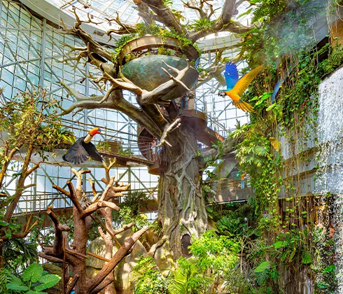  Inside The Green Planet rainforest in Dubai